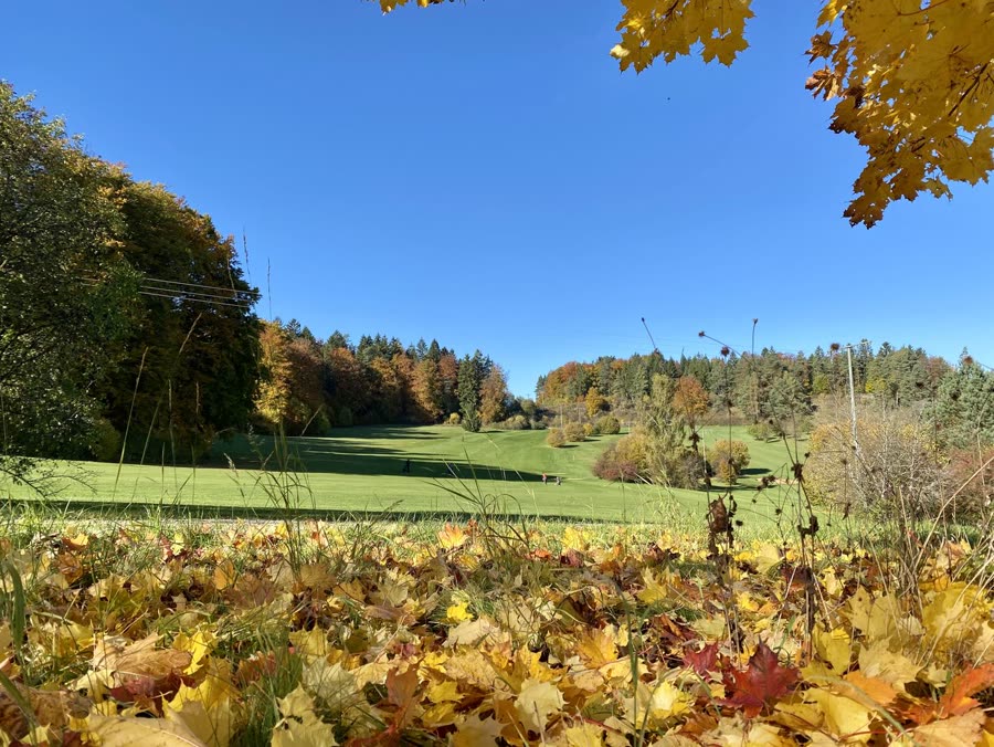 Herbstlaub im Vordergrund, dahinter ein grünes Fairway der Golfanlage Gerhelm unter blauem Himmel